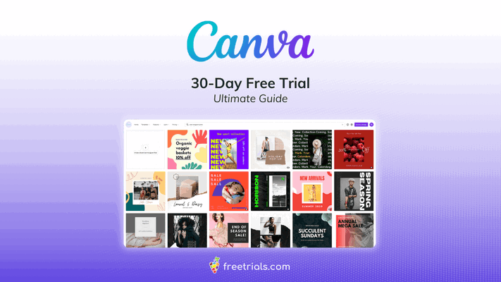 Everything You Need to Know About the Canva Free Trial