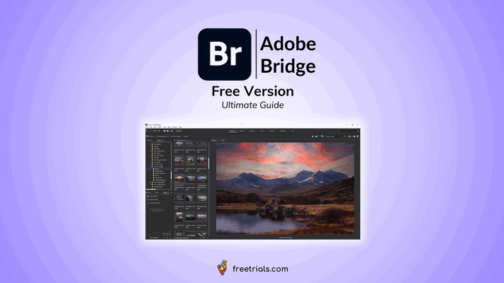 The Adobe Bridge Download: A Free Digital Asset Manager